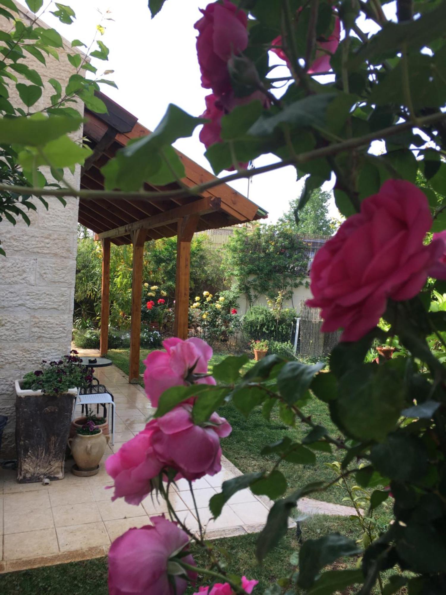 Vila Pinat Nofesh Roš Pina Exteriér fotografie